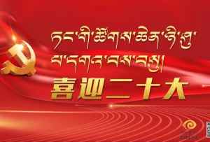 ཏང་གི་ཚོགས་ཆེན་ཉི་ཤུ་པ་དགའ་བས་བསུ།