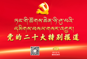 ཏང་གི་ཚོགས་ཆེན་ཉི་ཤུ་པའི་དམིགས་བསལ་གསར་འགྱུར།