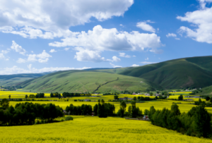 喜迎二十大丨宜居城市展画卷幸福流淌城乡间