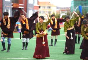 གར་གྱི་སྟངས་སྟབས།  ལང་ཚོའི་གཟི་དཔལ།