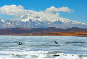 མཚོ་མོ་དར་ཁ་ཕྱེ། མཛེས་ཤིང་ལྟ་ན་སྡུག