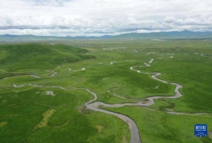 རྨ་ཆུའི་འབབ་རྒྱུད་ཀྱི་སྐྱེ་ཁམས་སྲུང་སྐྱོབ་སྐོར་གྱི་གསུང་བཤད།