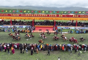 སི་ཁྲོན་ལི་ཐང་དུ་རྩྭ་ཐང་གི་རྟ་རྒྱུག་འགྲན་ཚོགས་སྤེལ་བ།