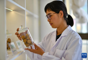 རབ་འབྱམས་པ་ལིའུ་ལི་ཕིང་གི་བོད་སྐྱོར་ལམ་བུ།