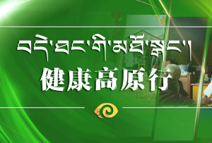 健康高原行