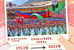 一组九宫格海报，带你感受阿坝70年之变