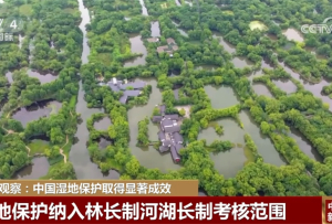 中国湿地保护取得显著成效 全面进入法治化轨道