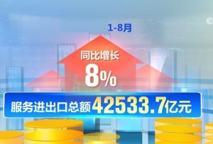 “多面开花”促发展 中国经济稳中有增