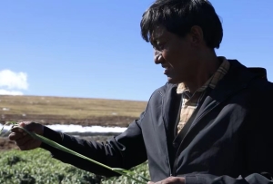 石渠：生态治理 绿了草原 富了牧民