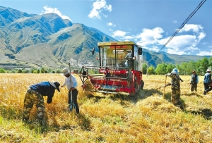 打造幸福家园 共建和美乡村