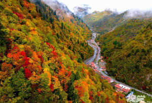 阿坝奶子沟：“八十里画廊”美若童话世界