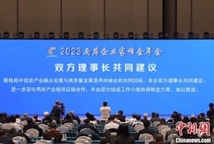 2023两岸企业家峰会年会在江苏南京闭幕