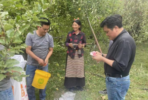 洛隆县白达乡：党建引领群众“增收路”