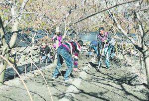 理县：“小蘑菇”种出增收致富路