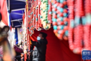 西藏日喀则康马县物交会红红火火