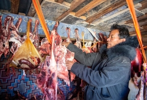 让农牧民不受冻不受灾——来自羌塘高原腹地的一线观察