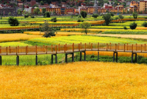 特别策划丨Show出甘孜城乡融合新图景（一）