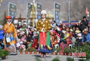 西藏拉萨：布达拉宫广场上演藏装秀