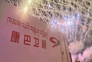 《龙腾盛世》康巴卫视2024藏历木龙新年联欢会将与他们携手录制