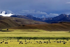 “天空之城”理塘：2023旅游成绩单亮眼！