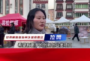 【我给两会捎句话】关注点：乡村振兴