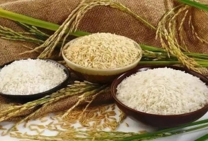 再创历史新高 我国2023年粮食产量13908.2亿斤