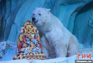 北极熊享80斤山东特色“龙年花馍”