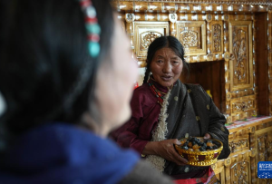 风雪高原行|藏北草原的“零碳”供暖,让这个冬天更有温度