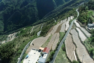 金川：四好农村路 串联乡村振兴新图景