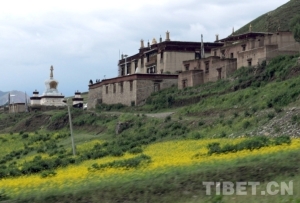 【藏北故事】留在心中的歌：探访藏北草原“女儿国”