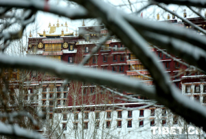 西藏自治区第四次全国文物普查正有序进行