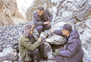 守护雪豹，共建人与自然和谐共生美丽家园