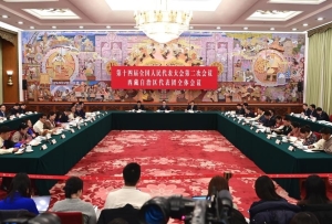 两会现场速递丨代表讲述亲历故事，展现真实美好的西藏