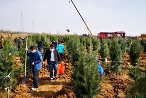 2023年我国完成造林5997万亩