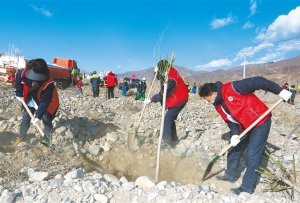 拉萨市开展植树护绿工作综述