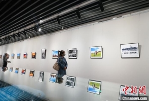 青海湖生态摄影展：展现人与自然和谐共生之美