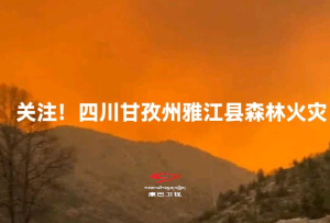 四川甘孜州雅江县森林火灾