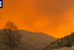 四川雅江森林火灾，最新消息