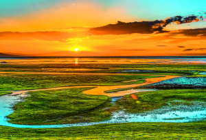 青海湖，绘就人水和谐生态画卷