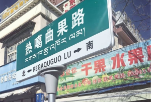 拉萨市民政局排查修复道路（街巷）指示牌873个