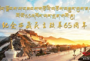 纪念西藏民主改革65周年