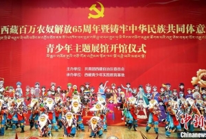 西藏铸牢中华民族共同体意识青少年主题展馆正式开馆