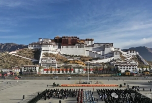 今天！我们这样纪念西藏百万农奴解放65周年