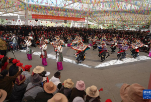 བོད་ལ་དམངས་གཙོའི་བཅོས་སྒྱུར་བྱས་ནས་ལོ་ངོ་65འཁོར་བར་རྟེན་འབྲེལ་གཟབ་རྒྱས་ཞུས།