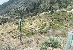 高山峡谷间酿造川酒“新名片”