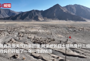 西藏阿里移民管理警察化身“牧羊人”护航牧民转场