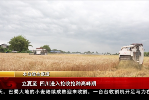 立夏至 四川进入抢收抢种高峰期