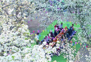 【乡村振兴在青海】梨花绽放香满村 乡村振兴迎客来