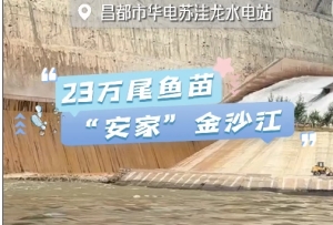 华电苏洼龙水电站举行高原鱼类增殖放流活动