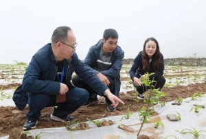四川阿坝:监督“小微权力”护民生暖民心